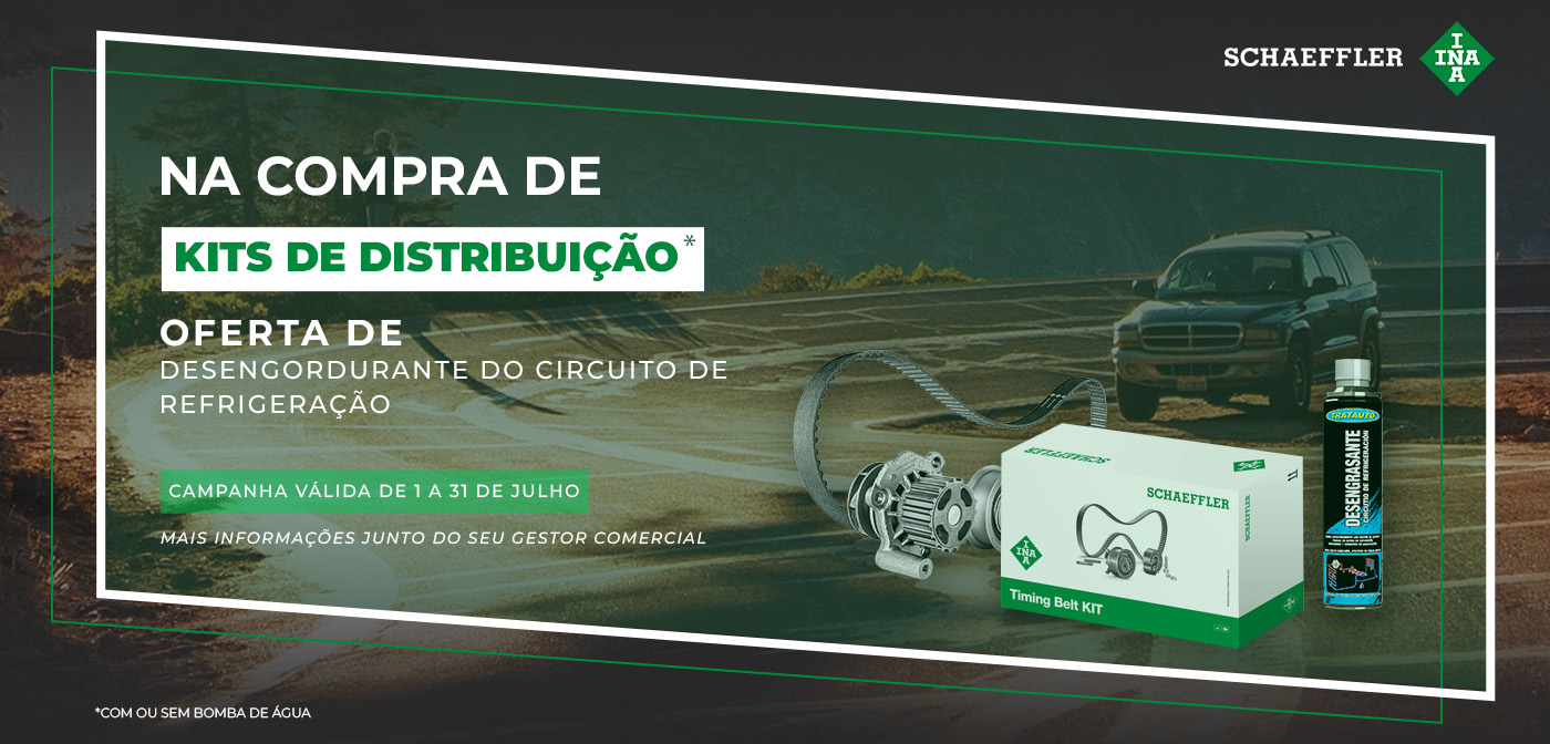 Campanha INA